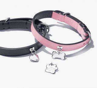 Pandora for your pets! Pet collars and tags now available in store, match with your best friend! ❤️🐶🐱#pandora #pandorapets #pandoracharms #dogs #dogcollar #bestfriend #cat #pooch
